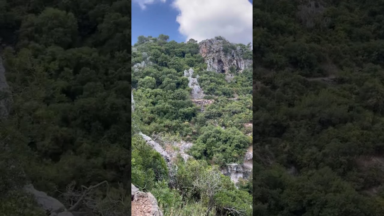 سويسرا الصغرى جبل الكرمل من أجمل المغامرات الساحرة🌳 ☘️⛰️💕הר כרמל שוויצריה הקטנה💕