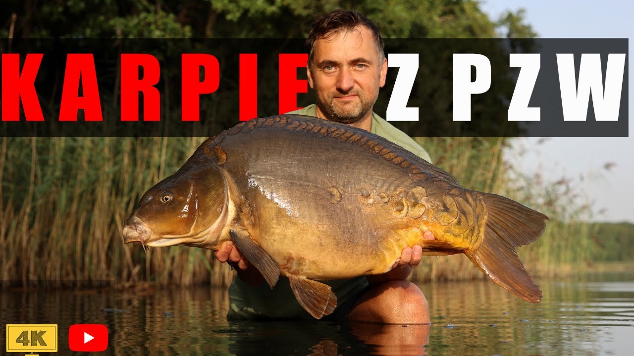 2M1 KARPIE Z JEZIORA PZW