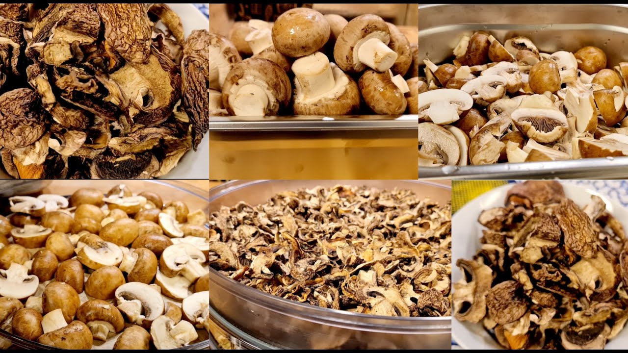 CHAMPIGNONS DÉSHYDRATÉS :Comment Séché Les Champignons Au Déshydrateur 