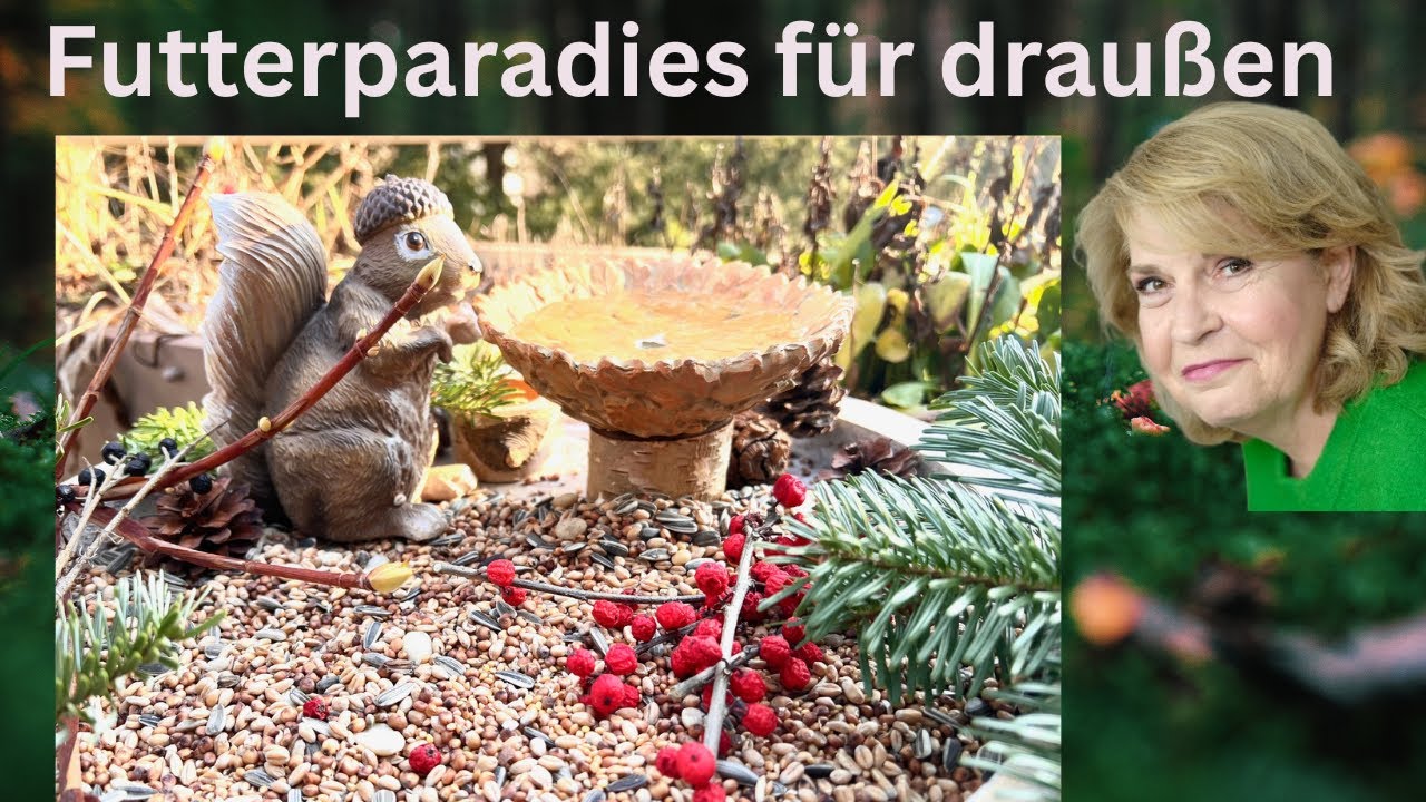 Futterparadies für Vögel & Eichhörnchen