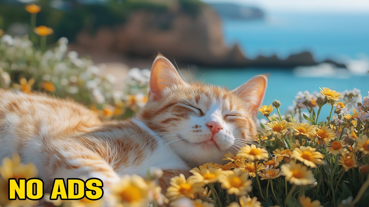 12 Hours of Calming Music for Cats 🌙 Quiet Night Sounds 🐈 Gentle Sleep Music