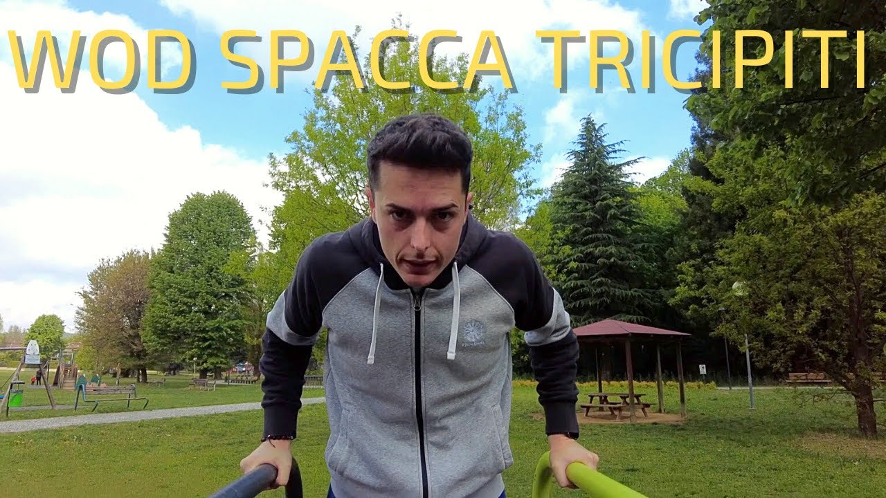 WORKOUT SPACCA TRICIPITI
