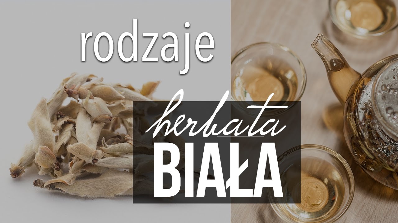 Biała Herbata: rodzaje, skąd pochodzi i rodzaje białej herbaty (1/2) - Czajnikowy.pl