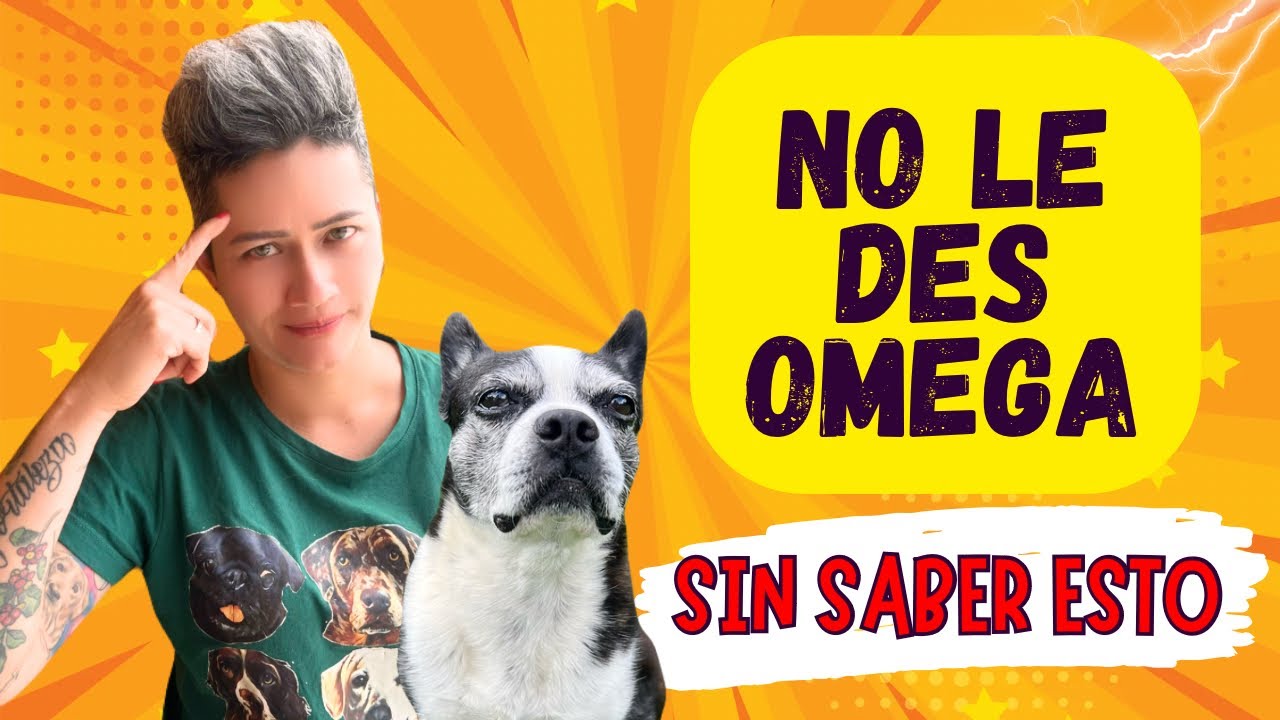 Qué debes saber antes de darle Omegas a tu perrito o gatico 🐶🐱