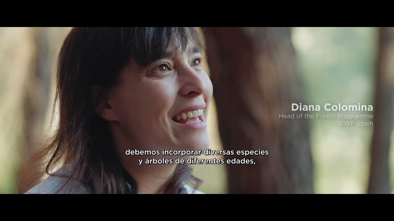 Healthy Cities, la clave para lograr ciudades m&aacute;s saludables