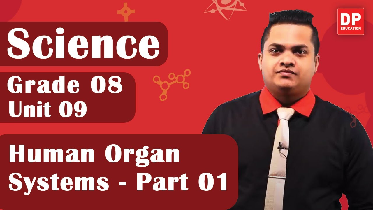 Lesson 09  -  Human Organ Systems (Part 01) | Grade 08 Science in English