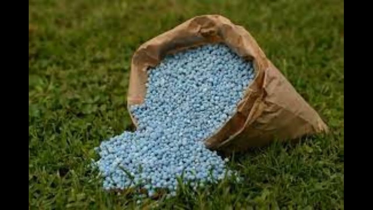 QUE ES Fertilizante NITROFOSKA AZUL Y para que sirve 🥑