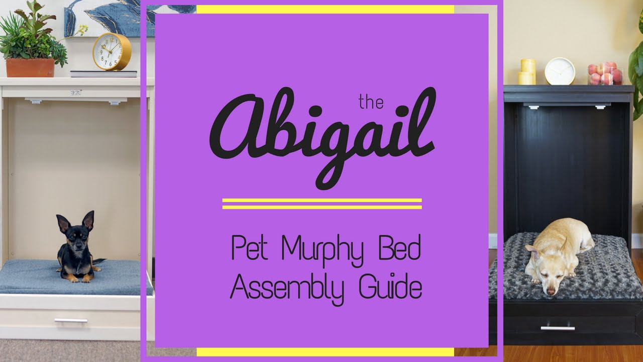 The ecoFLEX Abigail Murphy Bed Assembly Video by New Age Pet