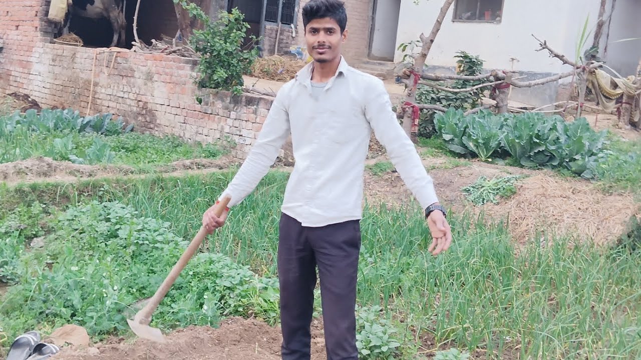 Day 9/10 kheti karte time 🧐🧐