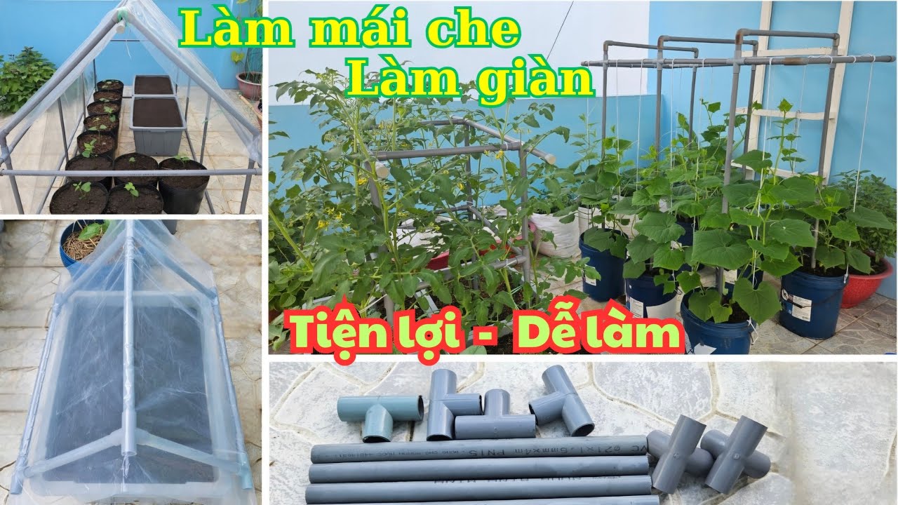 Làm giàn từ ống nhựa PVC | Làm giàn từ ống nước