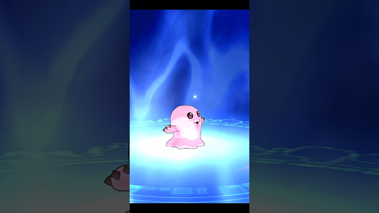Motimon digivolve to Tentomon