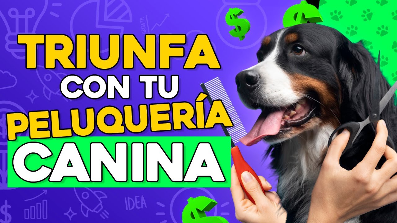 COMO INICIAR Una PELUQUERÍA CANINA Paso a Paso 🦴️