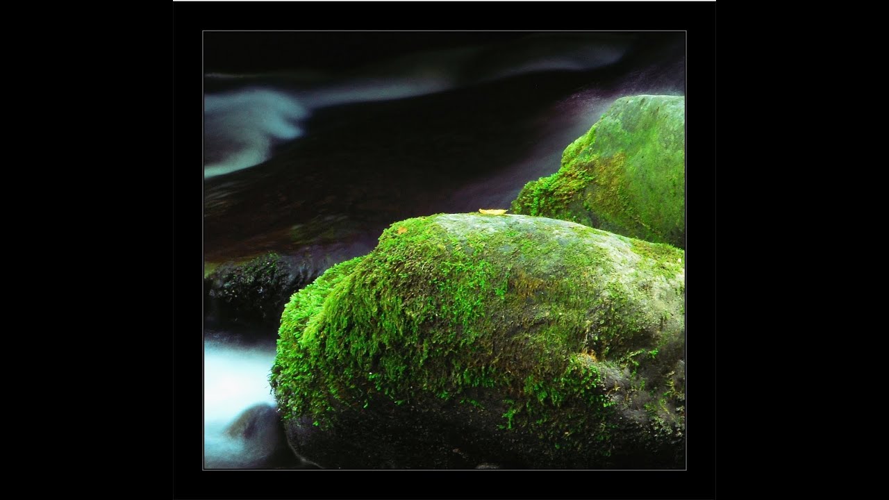 How I Create Etsy Wall Art with my Photography Prints Nature Collection
