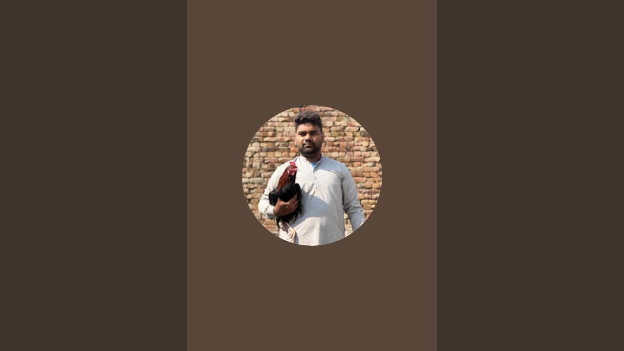 M Awais Ali is live!