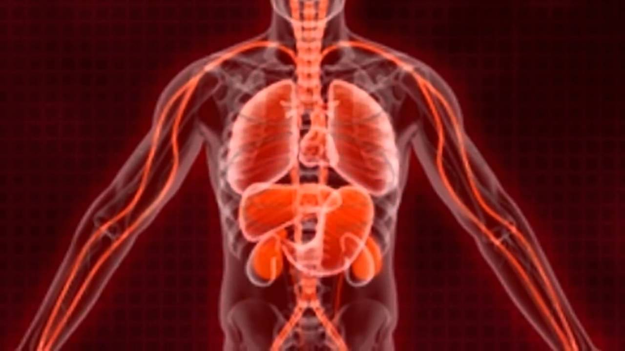 Plague Inc Evolved Steam Launch Trailer