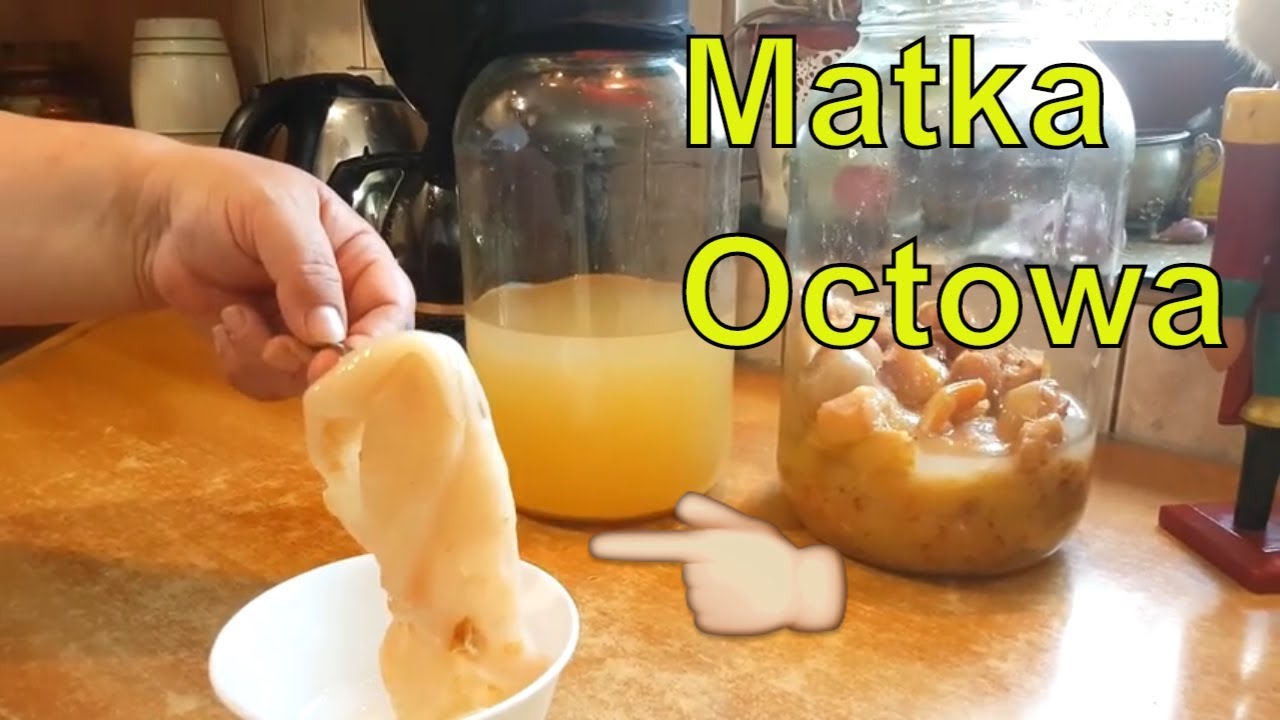 Jak zrobić domowy ocet jabłkowy - zlewanie i matka octowa