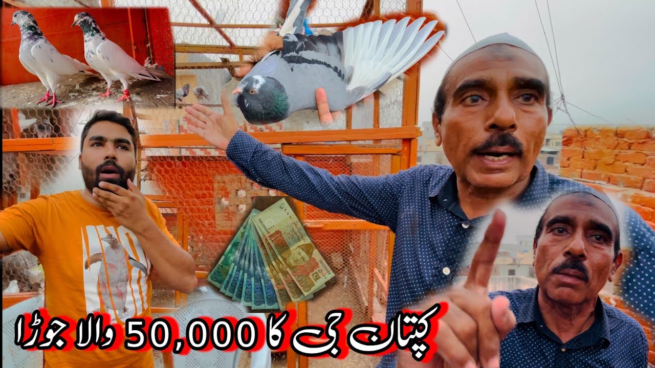 Captain Ki Jonsiri Madi Ka Rate nahi Howa 😅