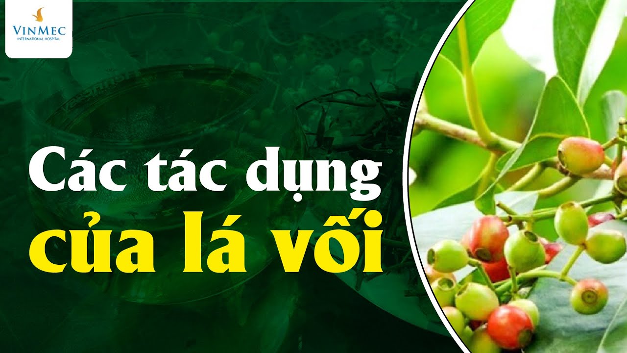 Các tác dụng của lá vối
