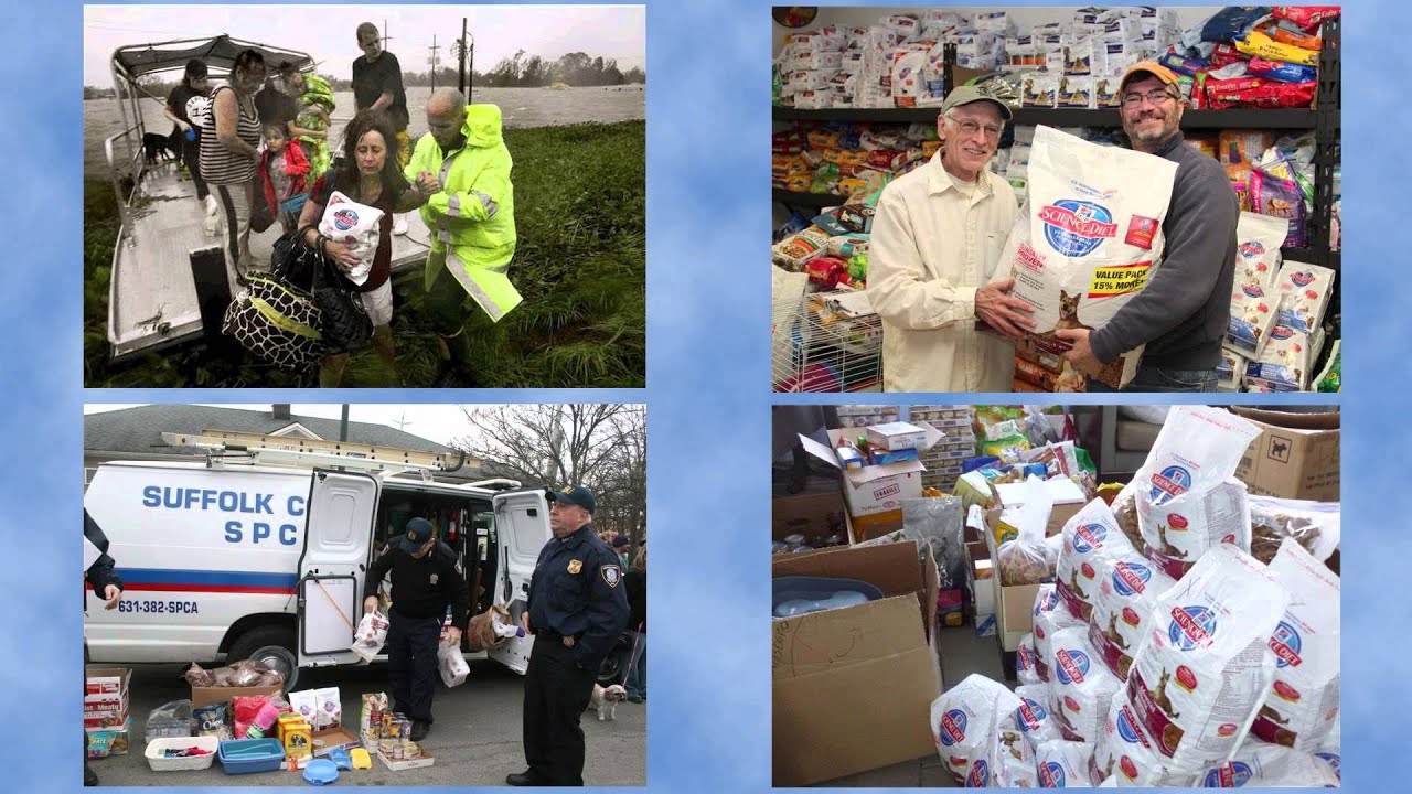 Hill&rsquo;s Disaster Relief Network