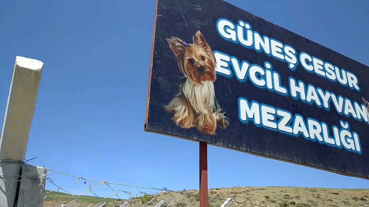 Güneşimin mezarını ziyarete gittik