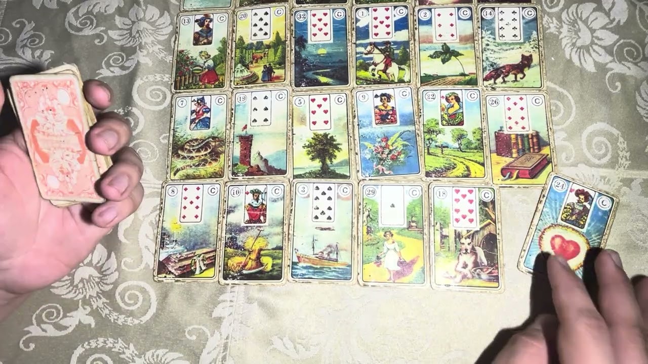 ‼️MINHA VIDA NA MESA REAL‼️+ cat&aacute;logo promocional 