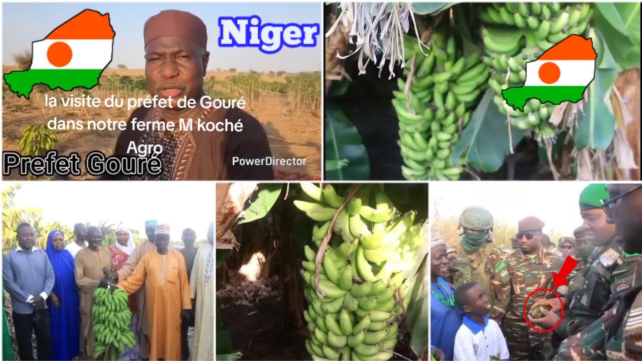 Nijar 🧡🤍💚🇳🇪Kalli komi Yana kan-kama sannu A Hankali Masha Allahu 🤲Kayan gona Lambou 👍🇳🇪🔥 Tchani ✅✊