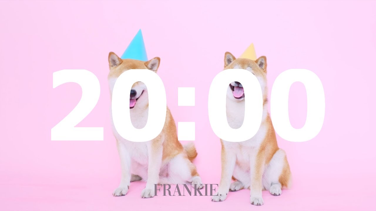 20 minute timer but with dogs