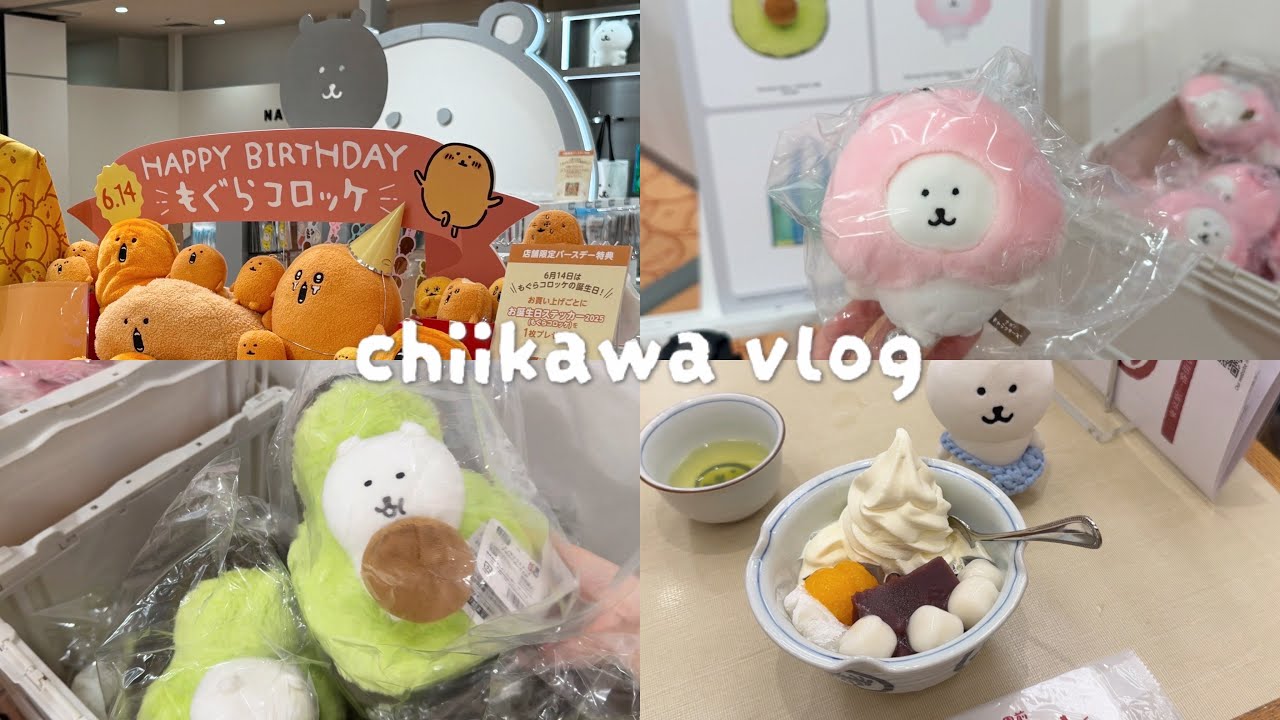 【ちい活vlog】ナガノマーケットGINZA｜6/6発売新商品｜ナガノのくま｜購入品紹介