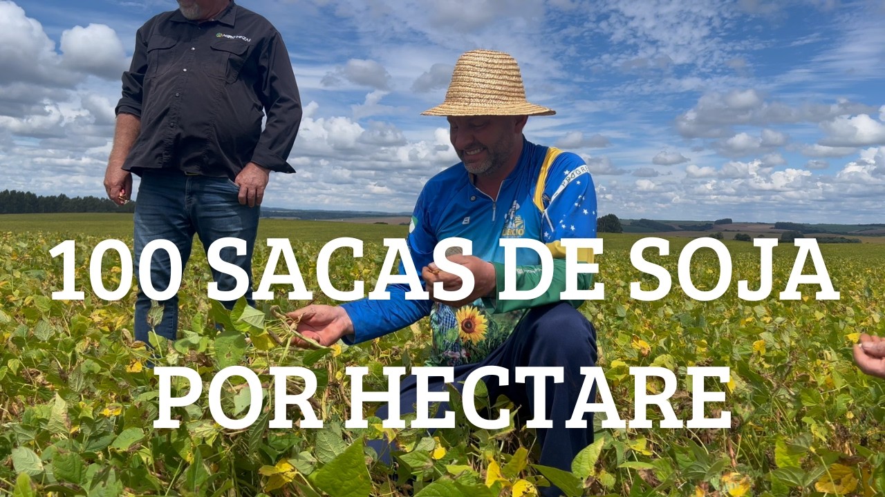 O Segredo Para Produzir +100 SACAS DE SOJA POR HECTARE (não é adubo e nem químicos)