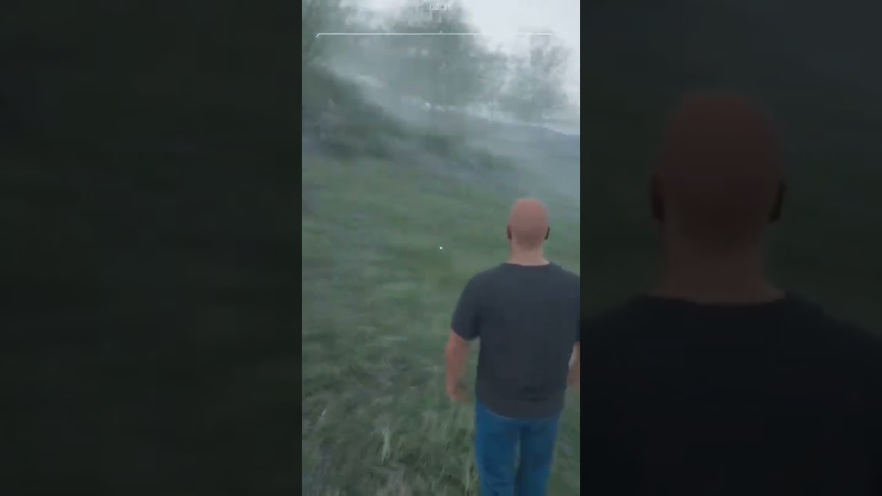 BEST BEE HUNTING STRATEGY IN RANCH SIMULATOR