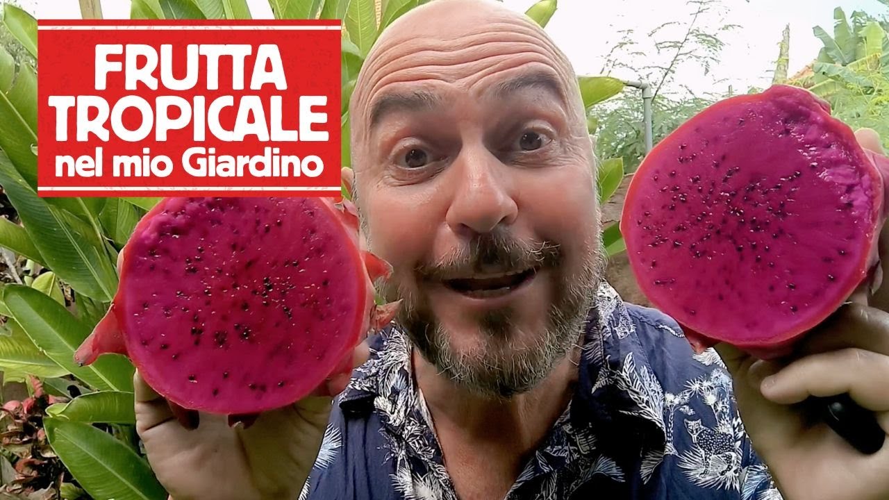 FRUTTA TROPICALE nel mio giardino - RIESCI a INDOVINARE quale frutta sto coltivando?