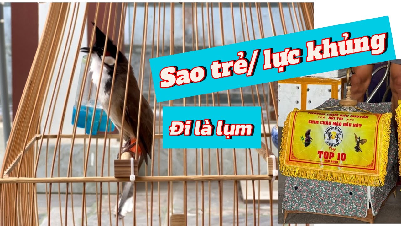CB Lân ủi 2 lần thi lụm cả 2. Đẳng cấp của 1 CB bổi già sao trẻ tiềm năng giải lớn