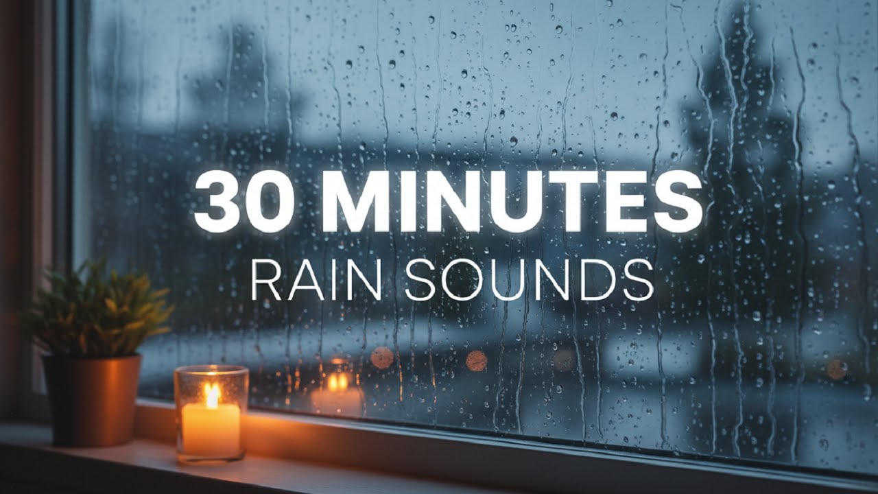 Rain Sounds for Sleeping Work or Study | 30 Minutes Pure Rainfall White Noise