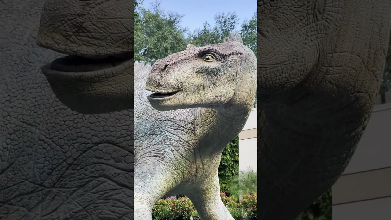 (4K) Animal Kingdom Walkthrough + Ride POVs • A Chill Day at Disney’s Wildest Park