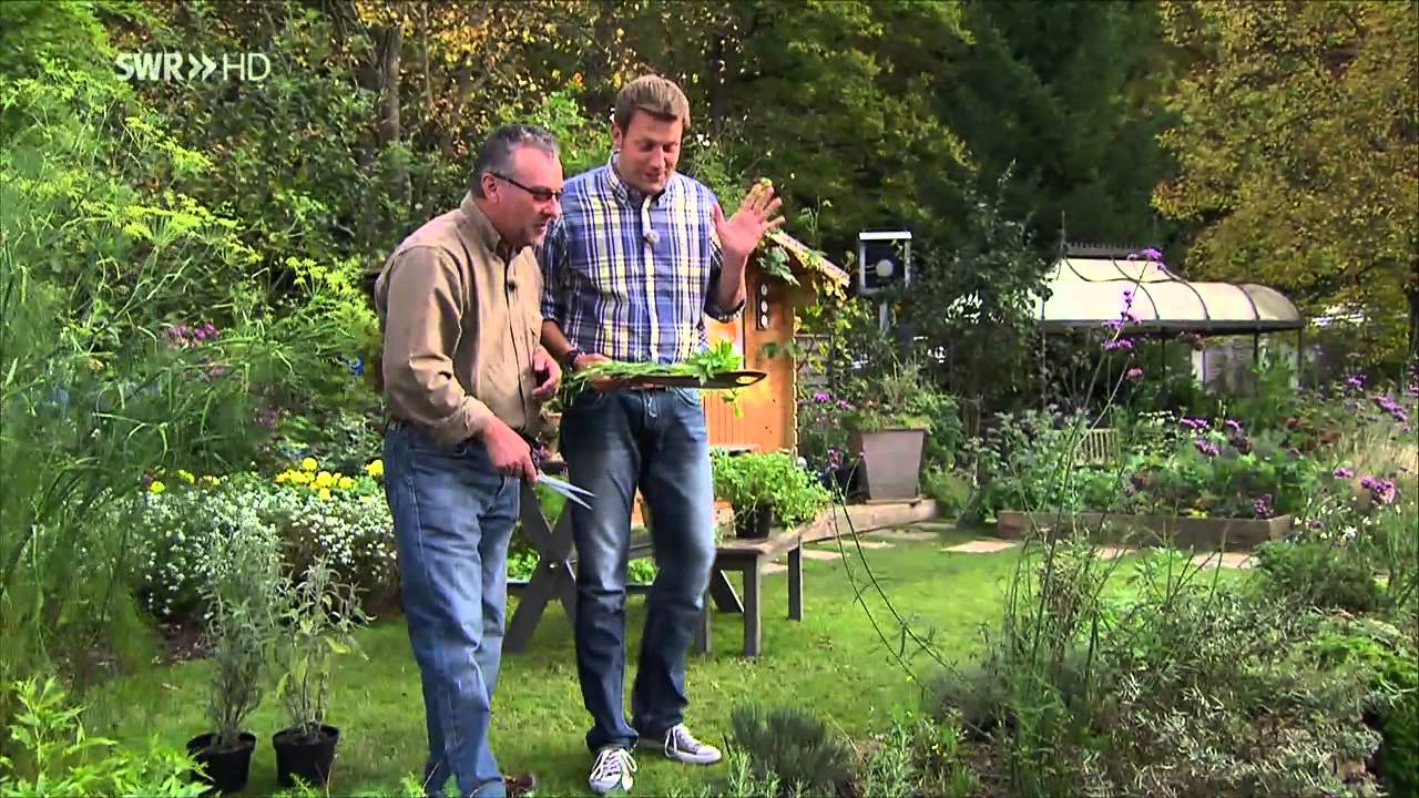 Kräuter ernten