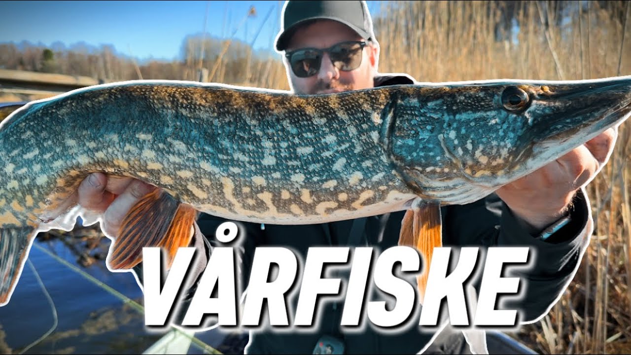 GÄDDFISKE VÅREN 2025 / HUR VI FISKAR