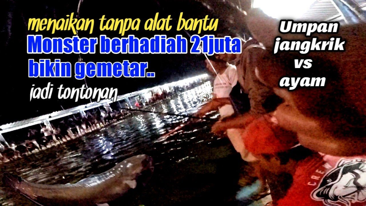 detik2 Naikin babon lele berhadiah 21juta jadi tontonan! Mancing ikan lele lomba cr jaya