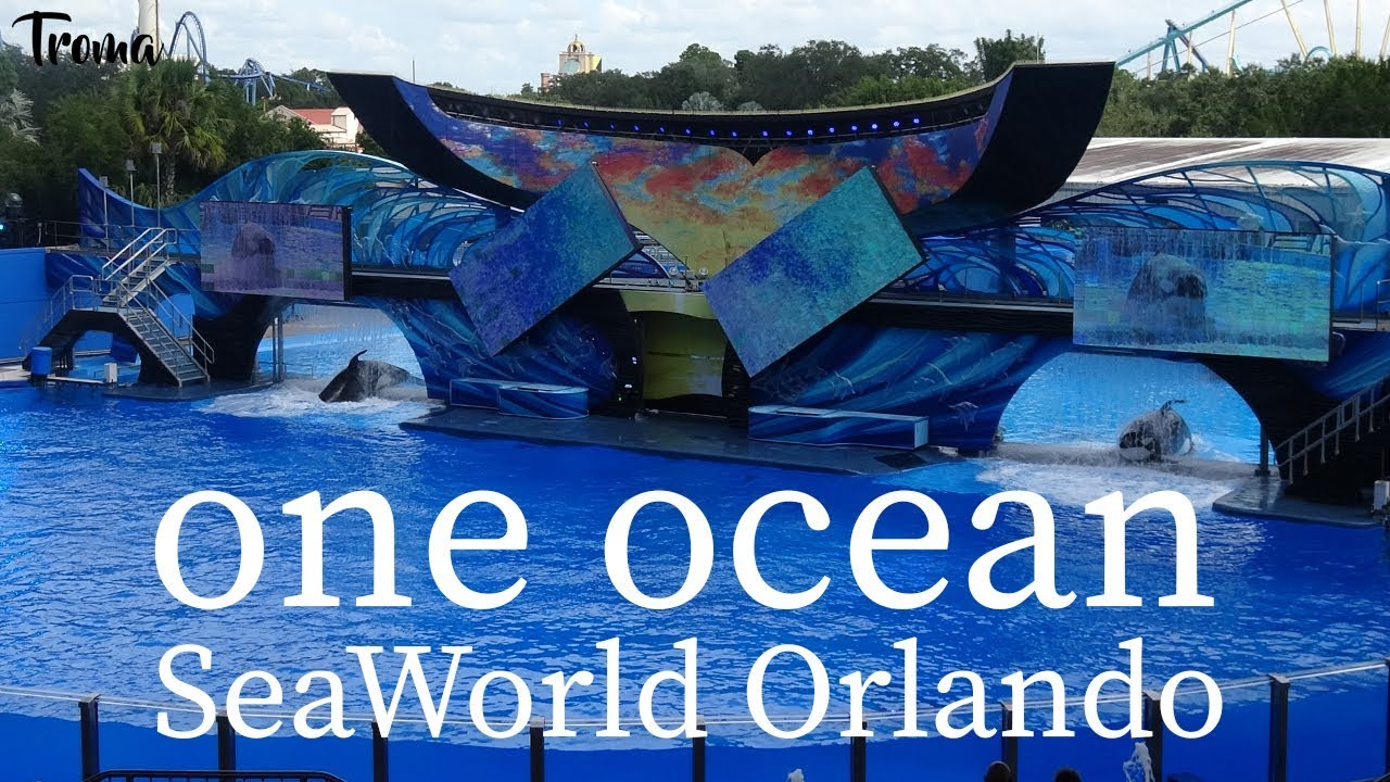 One Ocean at SeaWorld Orlando | Troma