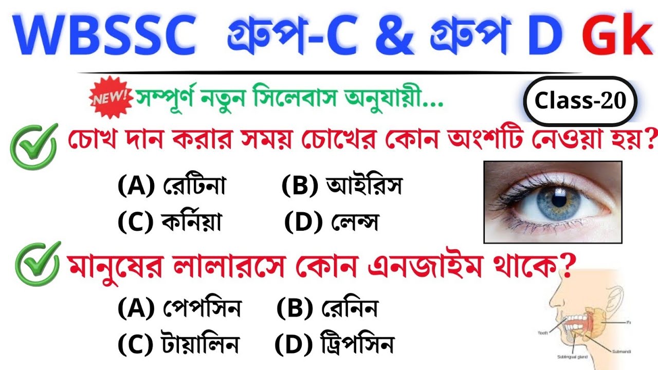 🎯 WBSSC Group C & D GK | Class–20 | নতুন সিলেবাস অনুযায়ী ক্লাস চলছে