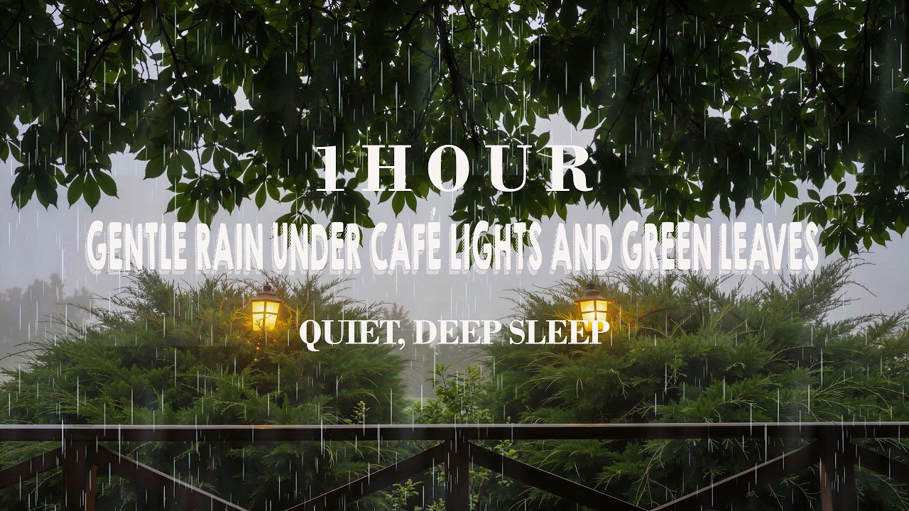 1 Hour of Gentle Rain Under Café Lights and Green Leaves