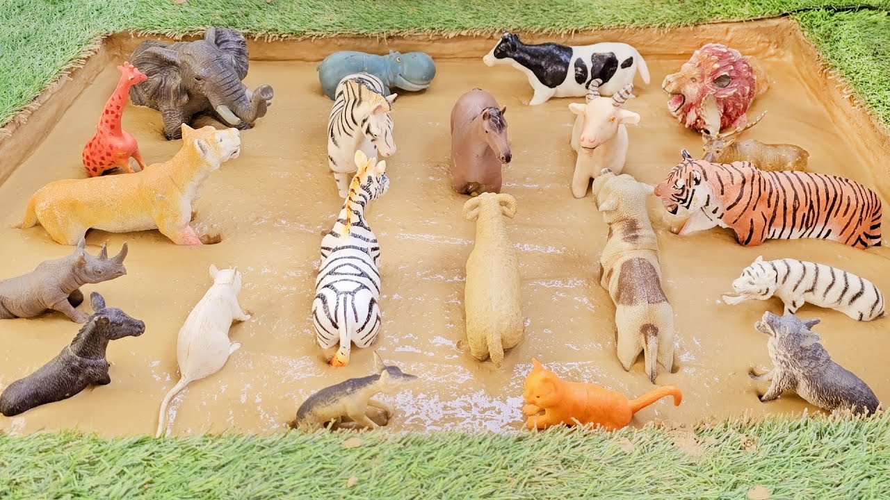 Predator and Prey Adventures: Jungle Creatures & Forest Friends in the Deep