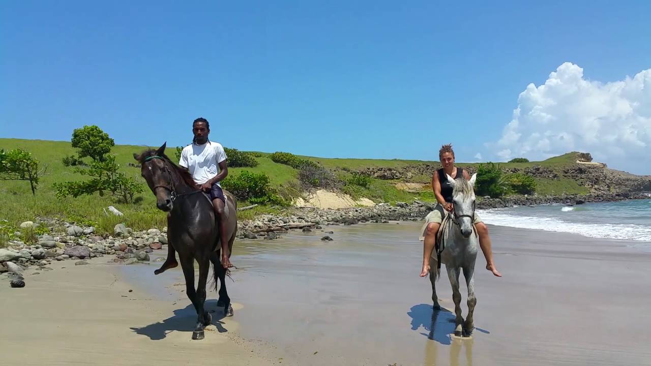 Exploring St.Lucia on Horseback