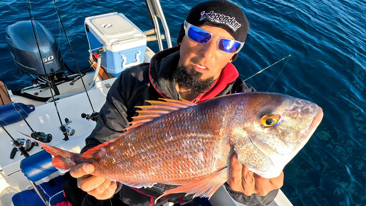 Φιλάκια 😘, φαγκριά και #tairubber (#ψάρεμα, #φαγκρί, #fishing, #seabream, #aegean, #archipelago)