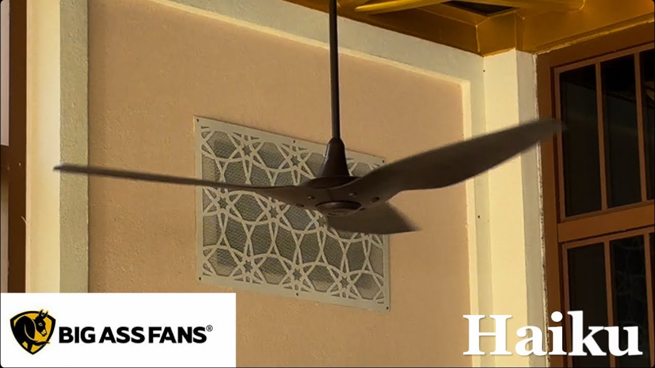 From the archives: 60&rdquo; Big Ass Fans Haiku ceiling fans 