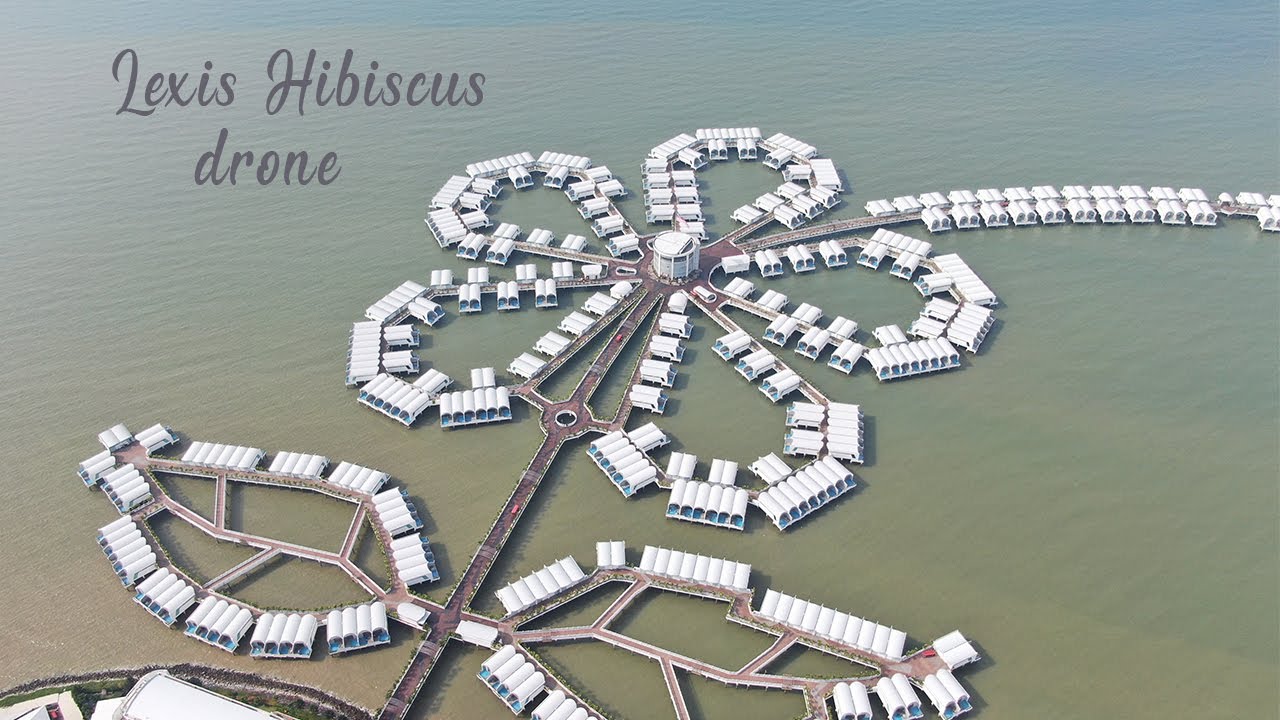 Lexis Hibiscus Drone