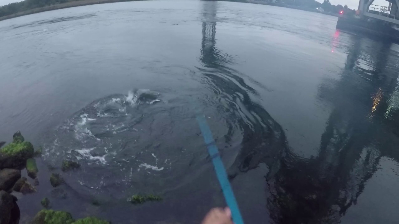 27lb Striped Bass Inhales a Jig at the Cape Cod Canal + My New Canal Rod/Reel