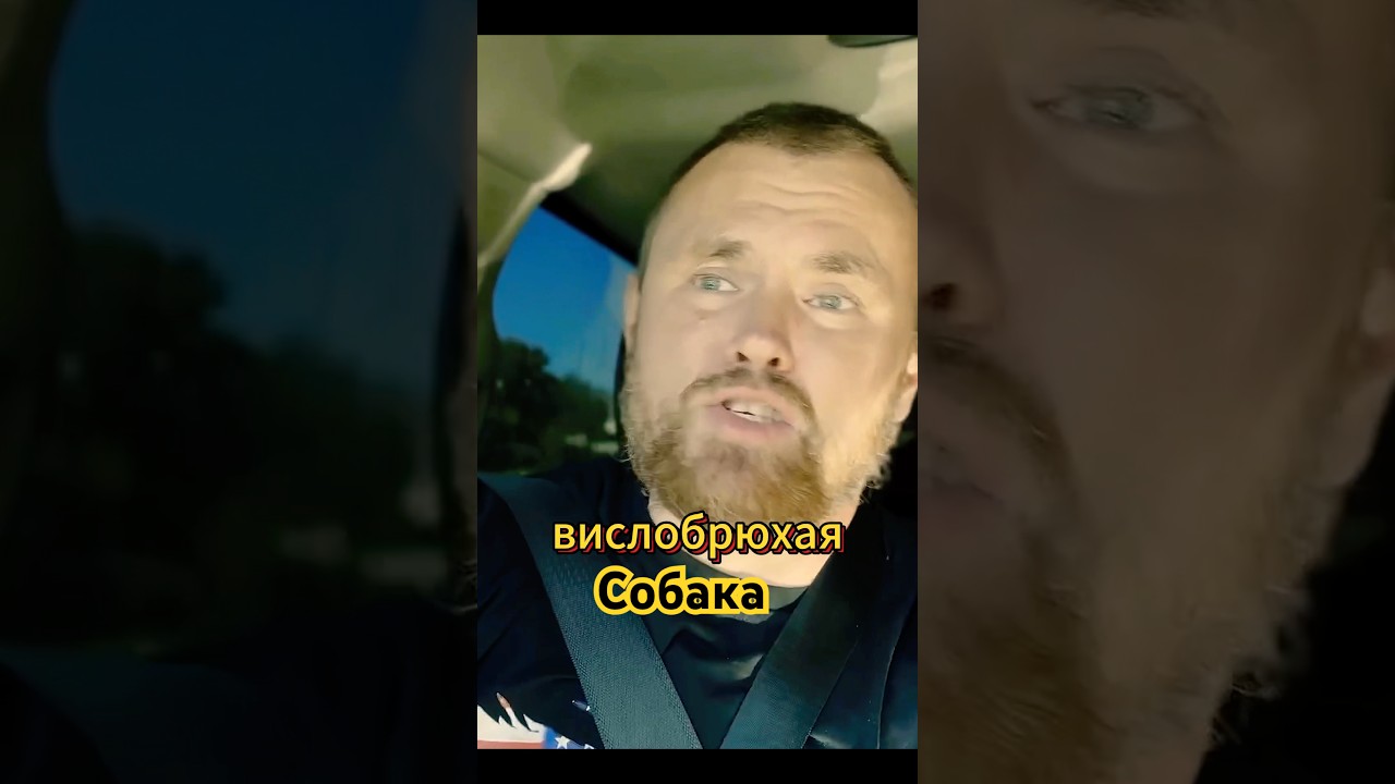 Второй раз обокрали в Америке #америка #сша #иммиграция