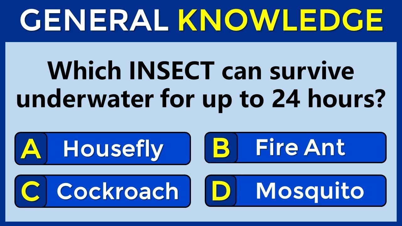 How Good Is Your General Knowledge? Take This 30-question Quiz To Find Out! #challenge 66