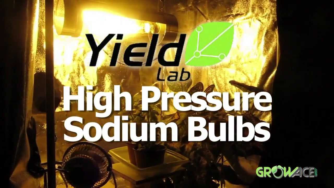 HPS Grow Bulb Review: Yield Lab High Pressure Sodium HPS Bulb Hydroponics GrowAce.com