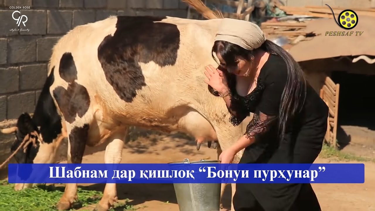 Шабнам дар Говҷушӣ “Бонуи пурҳунар